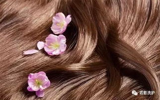 梦见洗头发预示着什么有什么特殊含义或预兆？