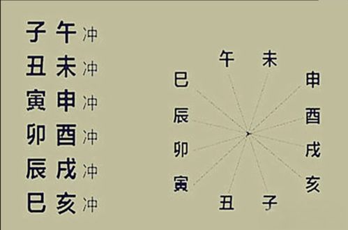 三、 地支的象征类象与五行归属