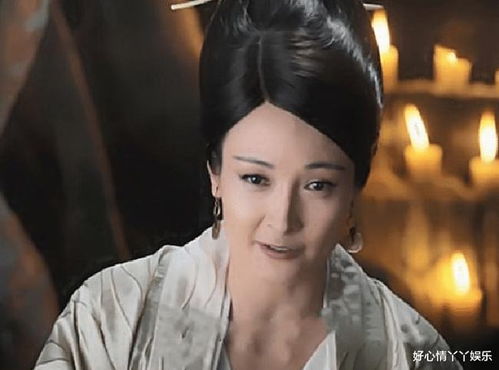 一、 探究背景与意义