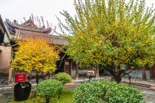 一、  八宅理论视域下的家族成员空间定位法则