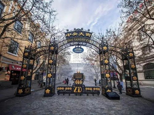 哈尔滨旅游特色体验：一场冰与火的狂欢（以及一些奇怪的噪音）