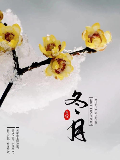 2026年1月6日农历冬月十八适合搬家吗，是宜乔迁搬新房的好日子吗？