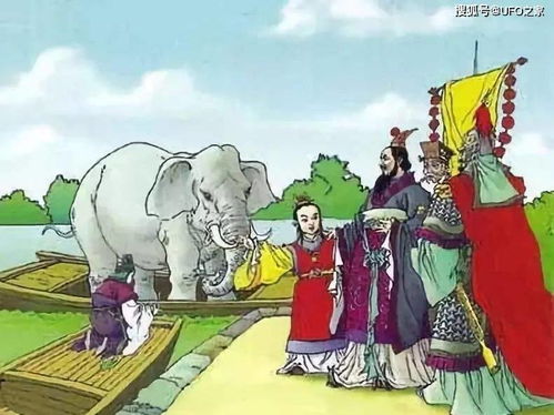 称象过程中的符号学解读