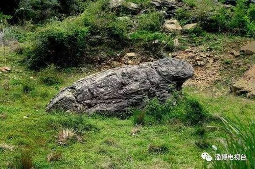 广西容县清华大学生风水宝地，蛤蟆爬石之地是否为真正的风水宝地？