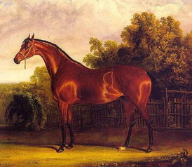 今年属羊的属什么命？1978年属马的寿终年龄是多少岁？这究竟意味着什么？