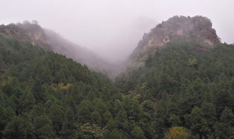 那些年我们爬过的山