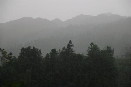 梦见在河里洗澡河水突然干涸，这预示着什么含义？