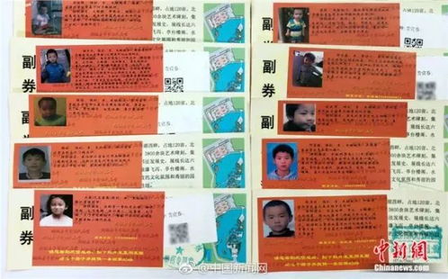 门票价格表（2026年预测版）