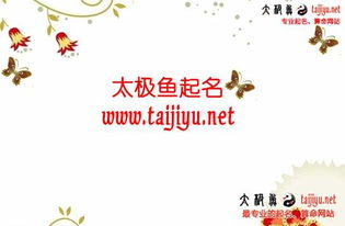二　命名原则的理论阐释