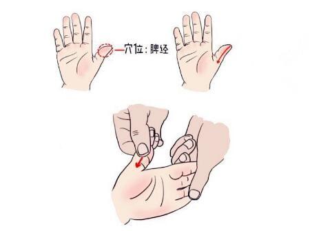 疏通脾经的干预策略与时机选择