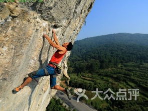 给新手的几条掏心窝子建议