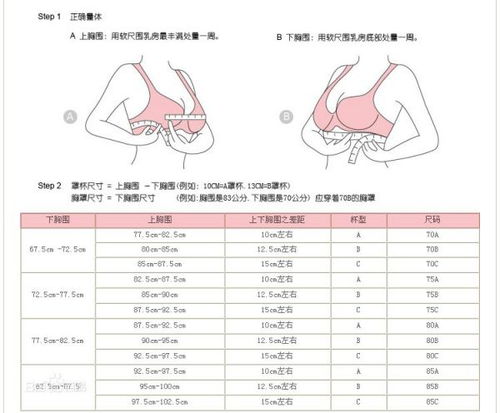 三、 从原始数据到罩杯尺寸的推演逻辑
