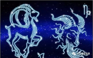 摩羯座今日运势如何？