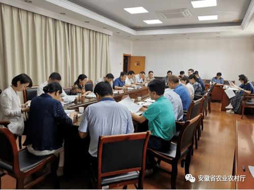 (2) 数据处理提议