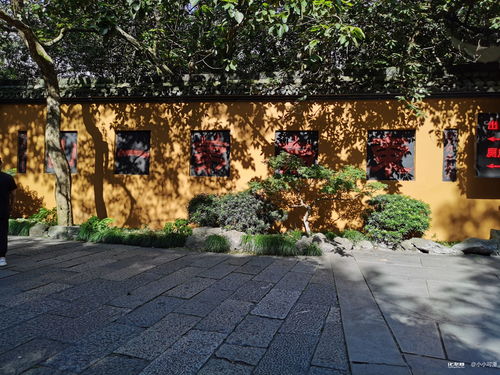 避开那些“不祥”的日子