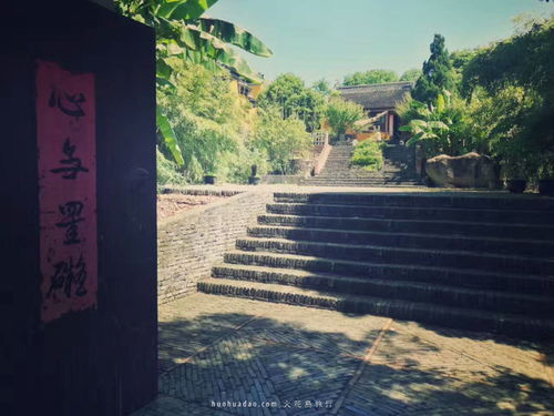 三、  冥想：内在的审视与行为的沉重塑