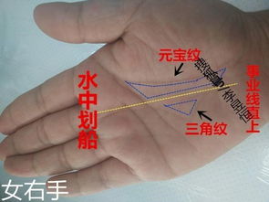 藏饰文化与吉祥寓意：历史积淀下的精神寄托