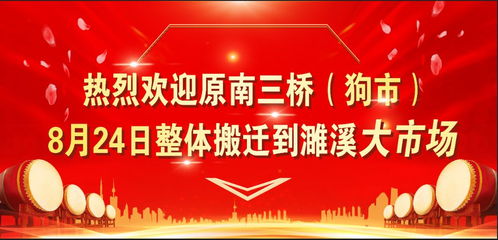 综合评议与实务建议