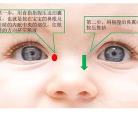 一、 医学视域中的五官定义