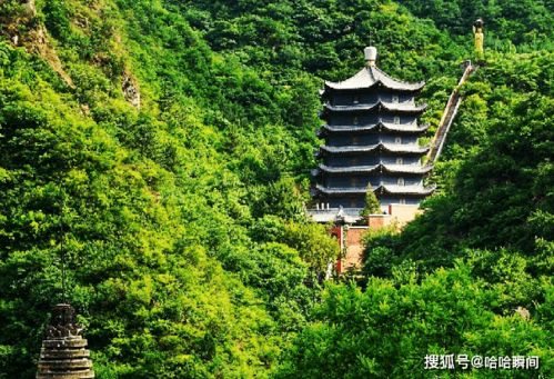 亲子游注意：佛顶塔的木楼梯太陡！带娃不如去桃花溪挖蚯蚓