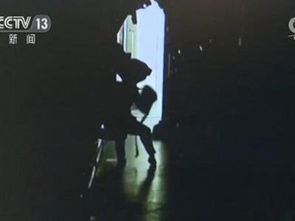 一、 研究缘起与事件概述
