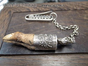 独角兽能辟邪吗？十种驱邪中药吉凶解析有哪些？