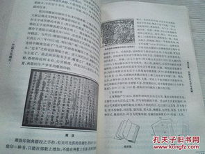 理论框架与文献回顾