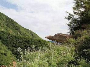 蓟州到底是个什么地方？别问我，问就是去了后悔不去也后悔的地方。