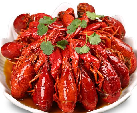 一、 Cherax pulcher：星空般的七彩美学与分类学意义