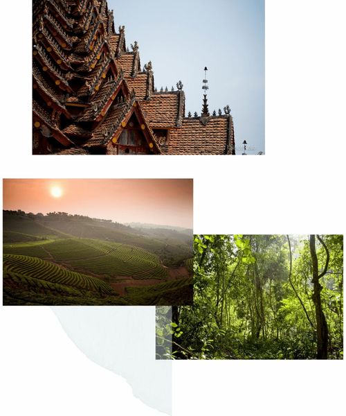 Digging Deeper into  Chaos of Travel Planning