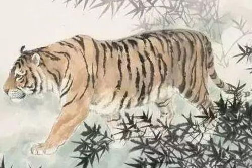 哪些生肖总是多愁善感，没事就喜欢怀旧呢？
