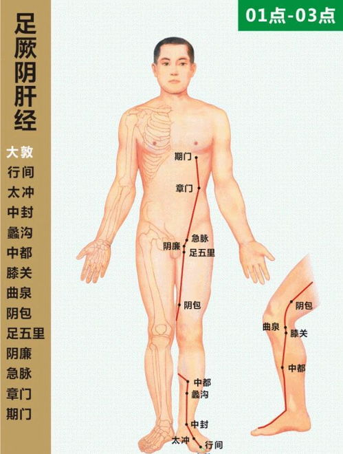 顺应自然规律与人体生理节律