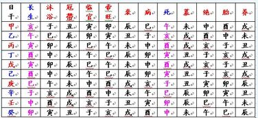 探寻名字的文化内涵