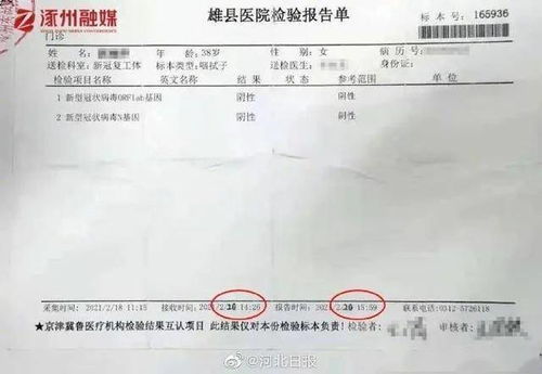 1. 信息准确性的名词化表达