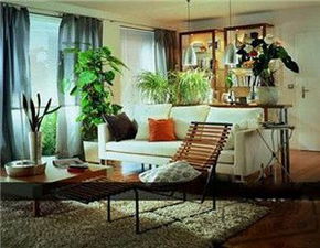 客厅摆放植物对家居风水有影响吗？