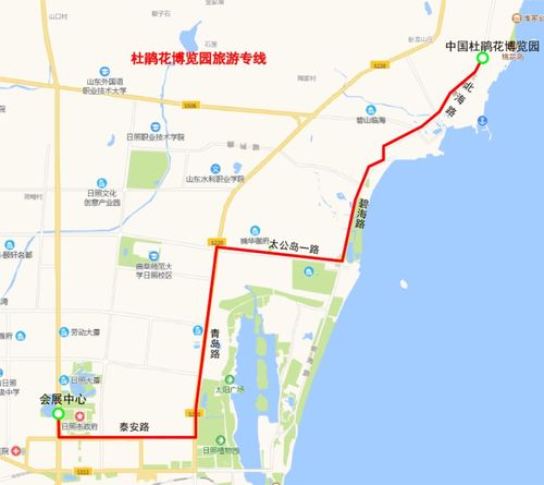 等待的艺术——如何在漫长的时光中发霉