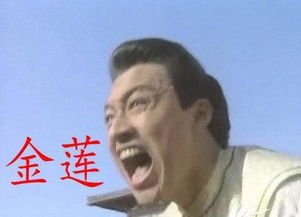 第三章：风水学视角的解读——阴阳互补与理想落俗
