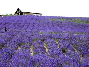 拍照禁忌大公开！！！