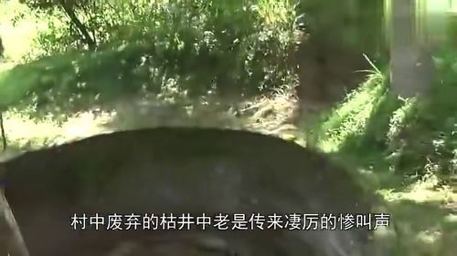 三、 周边环境音响特征及其潜在阐述
