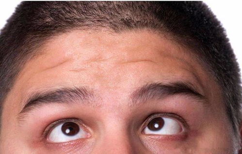 颚骨突出与支配欲望