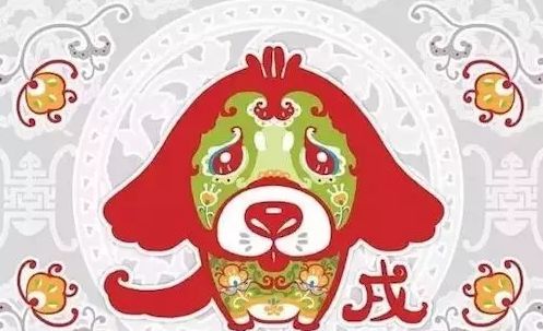 1982年属狗2026年运势如何？完整版运势预测是什么？