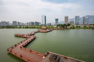 空港花海的秘密：夜晚才是真美