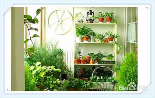 一、  理论框架探析：风水堪舆与传统养生的耦合机制