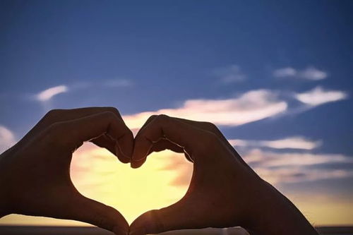 2. 动因分析：身份认同与情感价值的错位