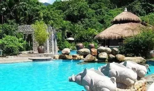 保亭：温泉里的“素颜修罗场”