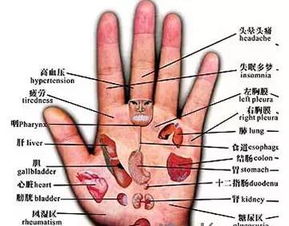 体质辨识之手相应象特征详析