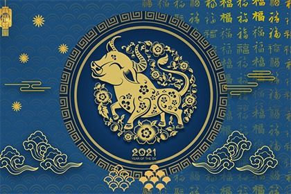 三、 具体姓名提议及其寓意解析