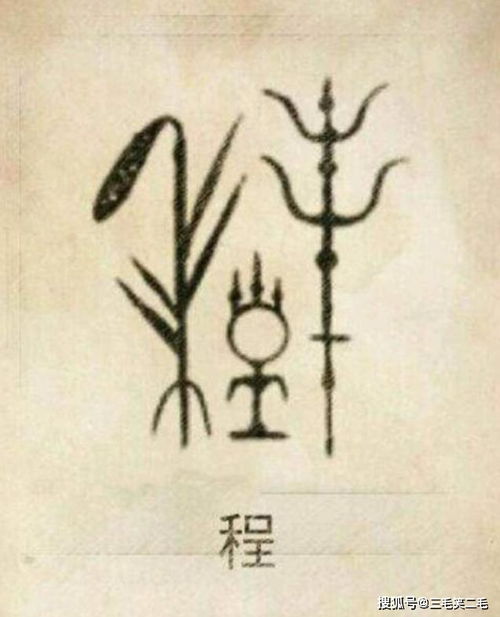 二、与其他主要姓氏的关系：同宗同源与潜在冲突