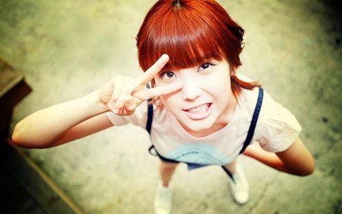 生肖星座视角下的命理配对分析