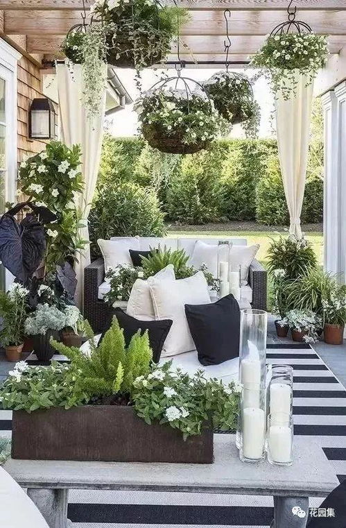 庭院北风水红豆杉应该放在哪个位置最合适？